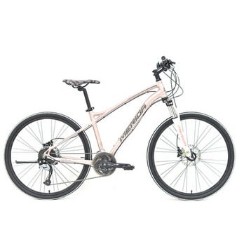 美利達自行車邢臺橋東區專賣店