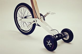 我們都是自行車,比蘭博基尼還拉風